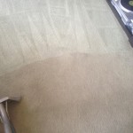 Carpet-Cleaning-Everett