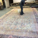 Commercial Carpet Cleaning Everett