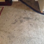 Dirty-Carpet-Everett-WA