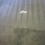 Everett-Carpet-Cleaning-Carpet-Cleaning