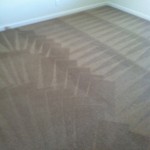 Everett-Carpet-Cleaning-Wall-To-Wall