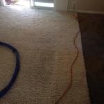 Everett-Traffic-Area-carpet-cleaners