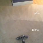 Steam-Carpet-Cleaning-Everett