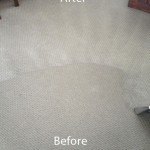 WALL TO WALL CARPET CLEANING